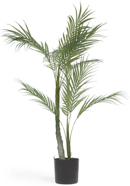 Palmera, kunstig plante, svart, H70x70x60 cm