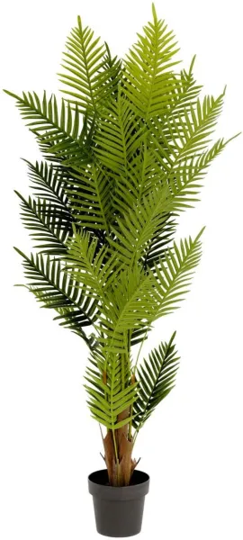 Palmera, kunstig plante, grønn/svart, H150x70x70 cm
