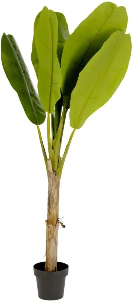 Banano, kunstig plante, grønn/svart, H160x90x90 cm
