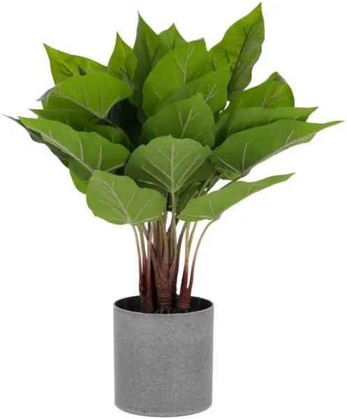 Anthurium, Kunstig plante, grønn/grå, K50x40x40 cm