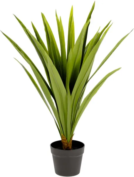 Yucca, kunstig plante, grønn/svart, H80x60x60 cm