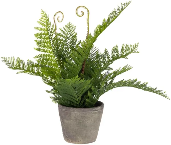 Filicopsida, Kunstig plante, grønn/grå, H35x40x40 cm