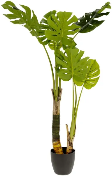 Monstera, kunstig plante, grønn/svart, H130x60x60 cm